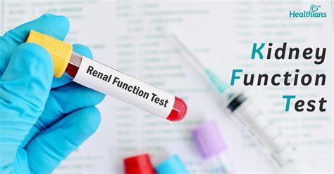 kidney test package|test for kidney function.